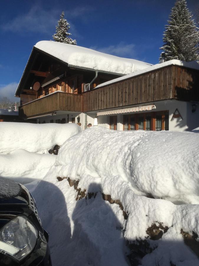 Chalet Erika Eriz Екстер'єр фото