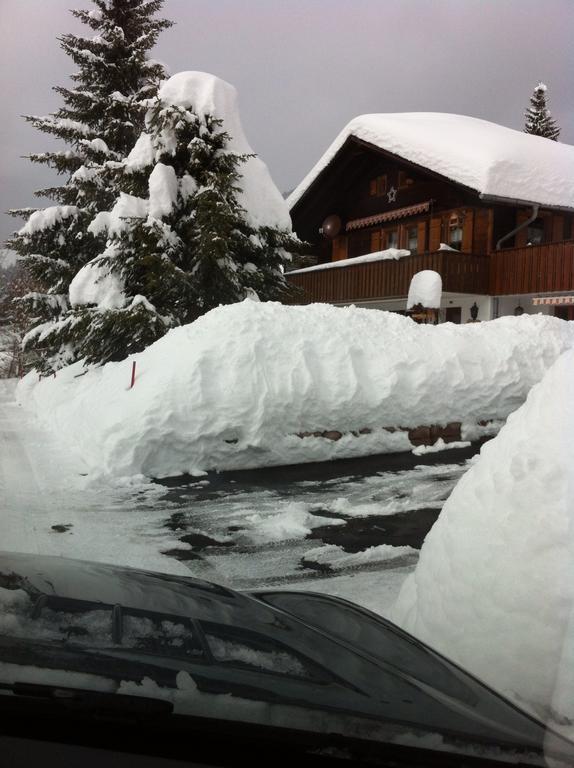 Chalet Erika Eriz Екстер'єр фото