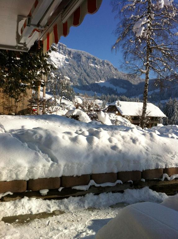 Chalet Erika Eriz Екстер'єр фото